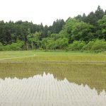 京都亀岡福岡農園
