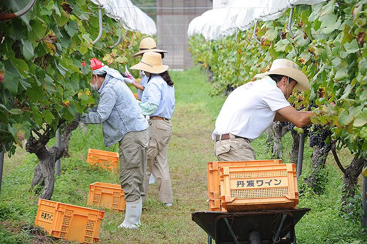 DSC_9870 - コピー