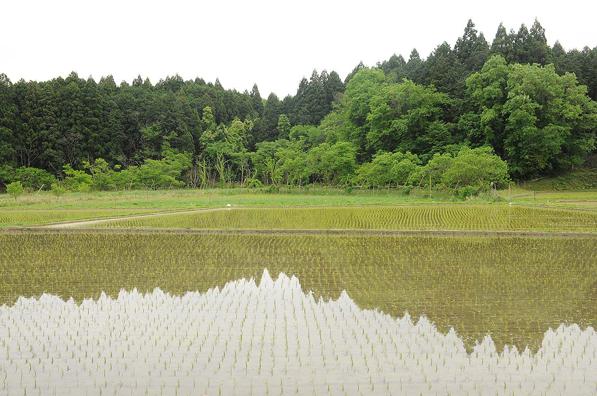 京都亀岡福岡農園