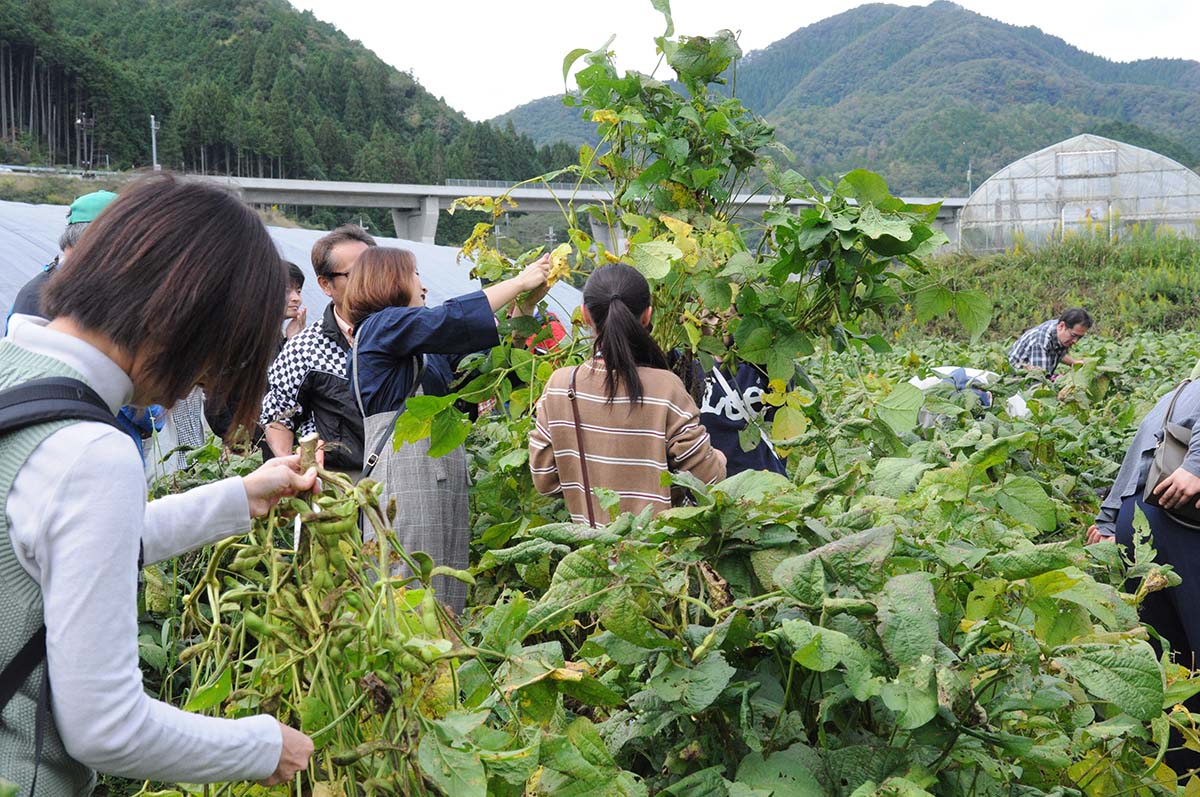 黒豆収穫祭